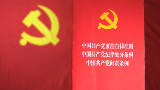 廉洁自律问责条例巡视工作问责条例