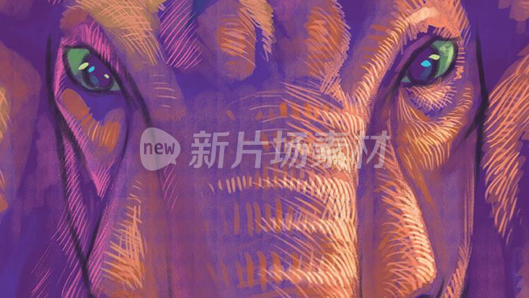 亚洲象手绘插画