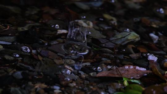 泉水溪水水滴水泡升格空镜