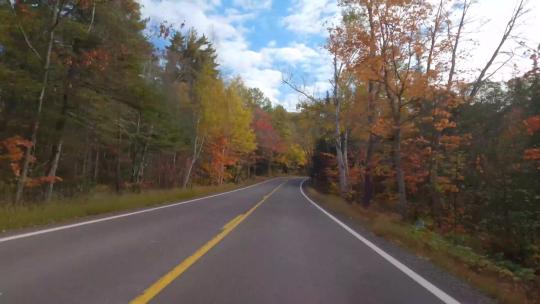 汽车行驶在秋季森林公路上POV第一视角旅游