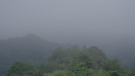 山里云里雾里朦胧