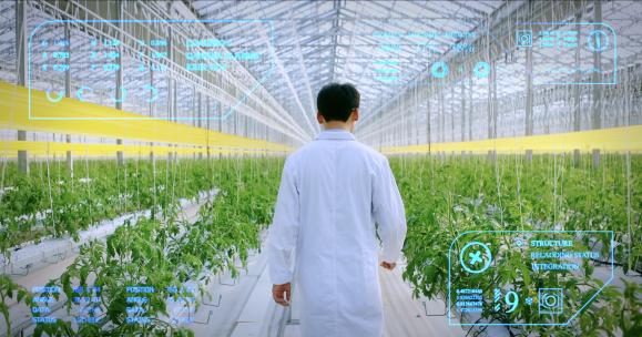 乡村振兴科技大棚现代农业种苗培育研究