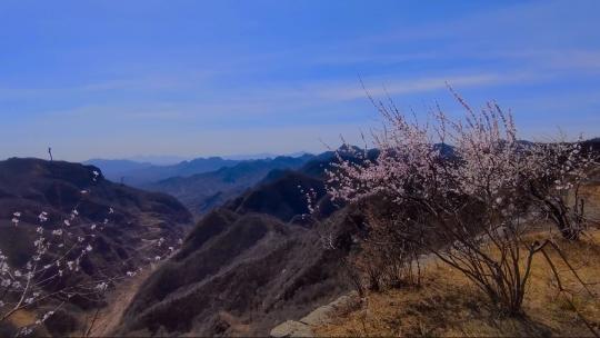 春天的气息，连绵的群山之上满山的桃花盛开