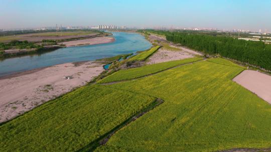 渭河河流