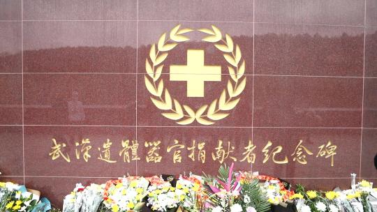 武汉遗体器官捐献纪念碑视频素材模板下载