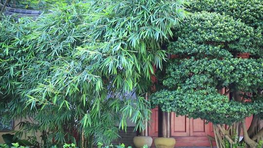 意境竹林竹影，中式古典园林