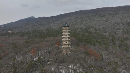 南京灵谷寺雪景