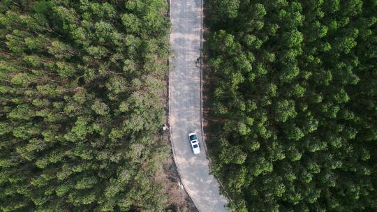 航拍汽车行驶森林里的公路