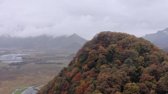 湖北神农架大九湖景区的阴雨秋天