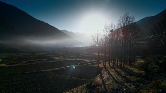 西藏旅游风光晨雾逆光原野