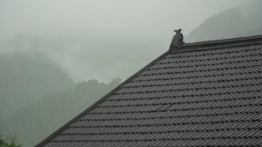 大雨中的屋顶升格，分辨率1080P，码率30MB