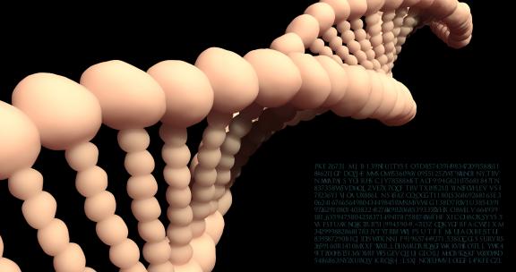 分析DNA结构 生物研究 基因和遗传4K