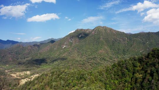 云南腾冲大竹坝 高山森林