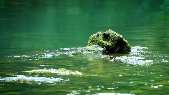 河流河水流水河面水面