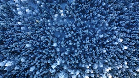 冬天雪景航拍林海雪原雾凇雪地