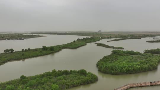 黄河三角洲湿地保护区 栈道航拍