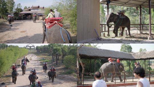 泰国旅游骑大象高清在线视频素材下载
