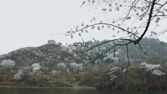 北京黄花城水长城春季风光