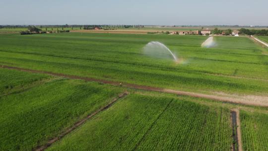 农业洒水装置给绿地浇水