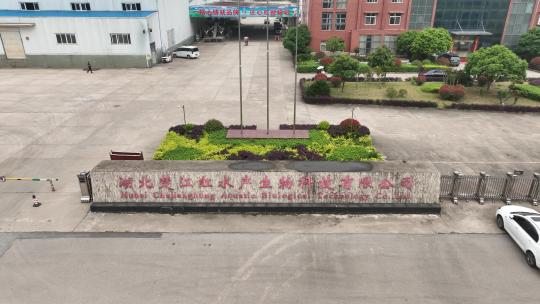 航拍武汉荆州小龙虾养殖基地