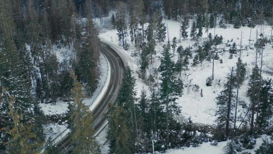 白天冬季森林道路的鸟瞰图——无人机拍摄