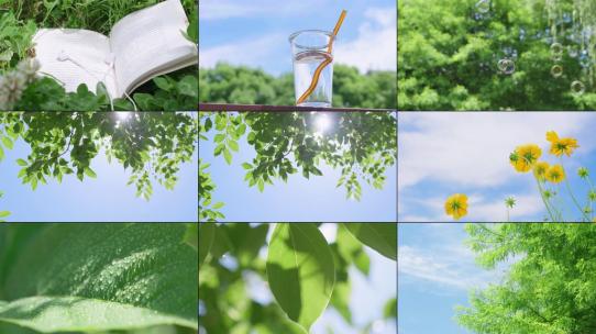 文艺写意 夏天慢时光