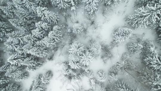 中国黑龙江雪乡林海雪原风景航拍