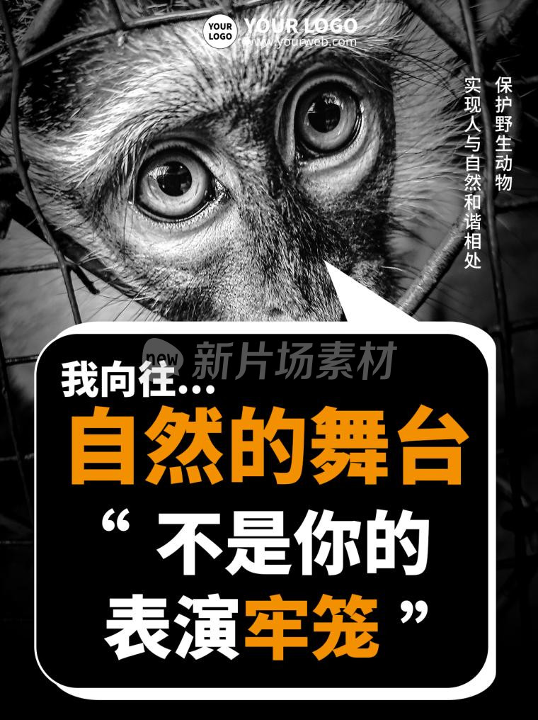 保护野生动物简约宣传小红书封面