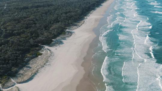航拍沙滩海浪拍打海岸沙滩棕榈树椰子树林