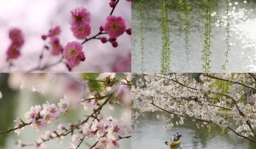 春日、春色、春天实拍空境高清在线视频素材下载
