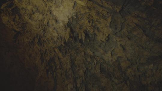 M1山洞中的蝙蝠视频素材模板下载