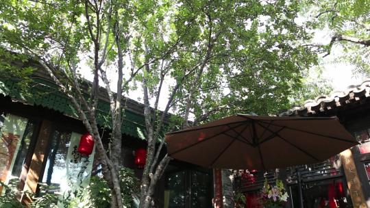 老北京四合院建筑历史文化树木