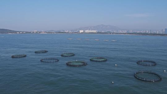 青岛海洋牧场海水养殖基地视频素材模板下载