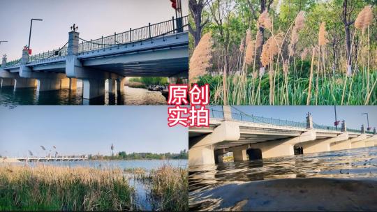 一江春水向东流/春天/白色的桥/岸边芦苇高清在线视频素材下载