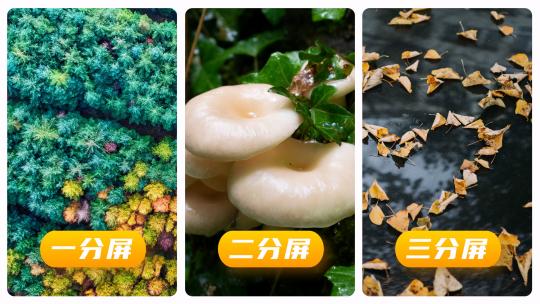 商务多屏丝滑图片展示