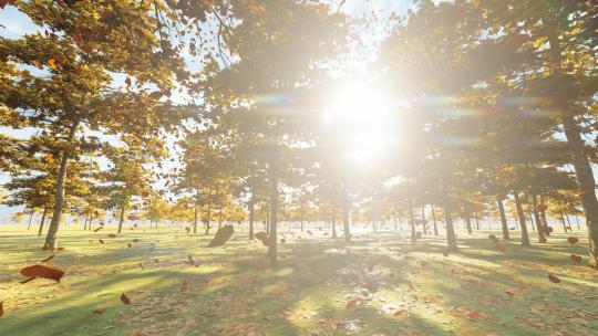 秋天阳光照耀下随风缓慢飘落的树叶视频素材模板下载