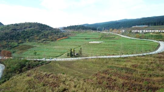 农村 山田 菜园 菜田