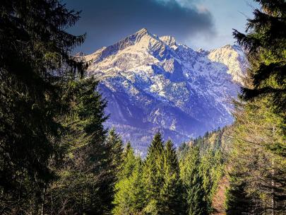 寻找真实的自我-节奏旋律钢琴快乐活动