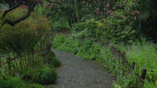 春天杭州乌龟潭阴雨天古建筑植物绿色自然