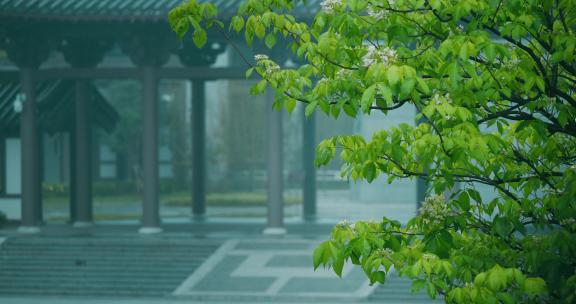 雨水古建筑屋檐下雨中国风雨中绿植雨