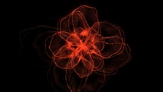 花朵花瓣唯美绚丽粒子特效动画4KAE工程AE视频素材教程下载