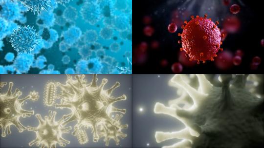 【合集】3d细菌病毒细胞动画