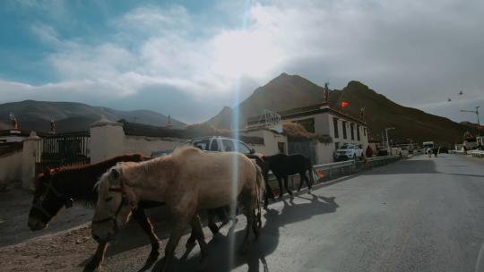 西藏旅游风光318国道车窗外藏族村镇马匹