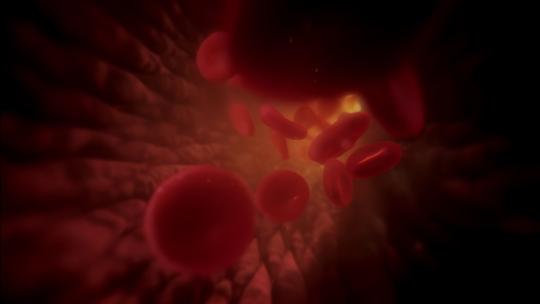 人体血液血管中流动的血小板红细胞