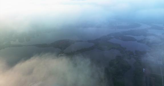 清晨湿地公园云海绿色生态航拍