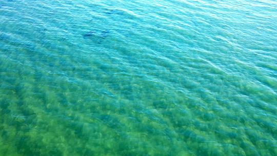 墨西哥下加利福尼亚州洛杉矶巴伊亚岛，清澈碧蓝的海水，波纹。关闭你