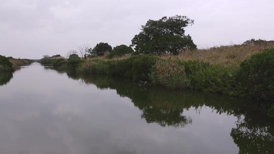 l1湿地河岸