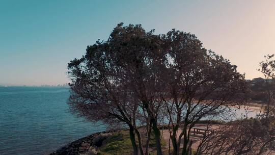 澳大利亚墨尔本布莱顿海滩的无人机镜头