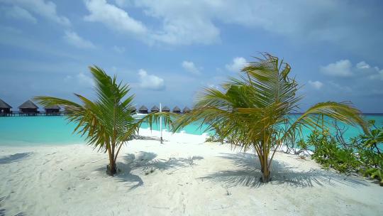 马尔代夫海岛风光风中摇曳的棕榈树视频素材模板下载