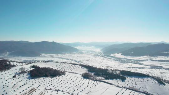 4k航拍雪后的山林